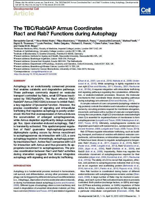 The TBC/RabGAP Armus Coordinates Rac1 and Rab7 Functions during Autophagy Thumbnail