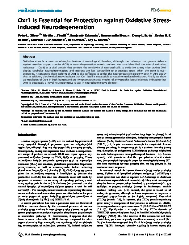 Oxr1 Is Essential for Protection against Oxidative Stress-Induced Neurodegeneration Thumbnail