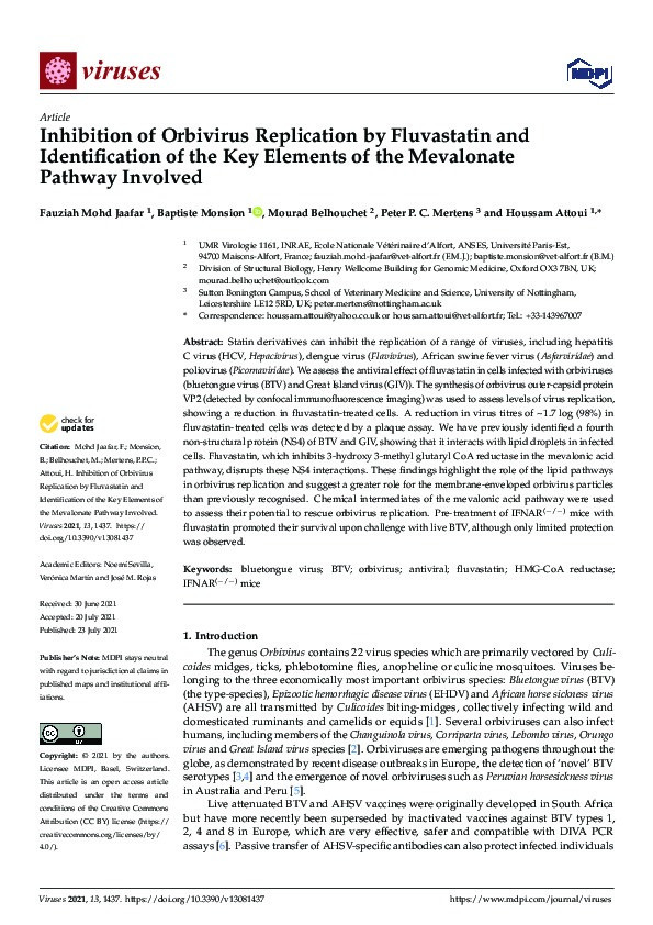 Inhibition of Orbivirus Replication by Fluvastatin and Identification of the Key Elements of the Mevalonate Pathway Involved Thumbnail