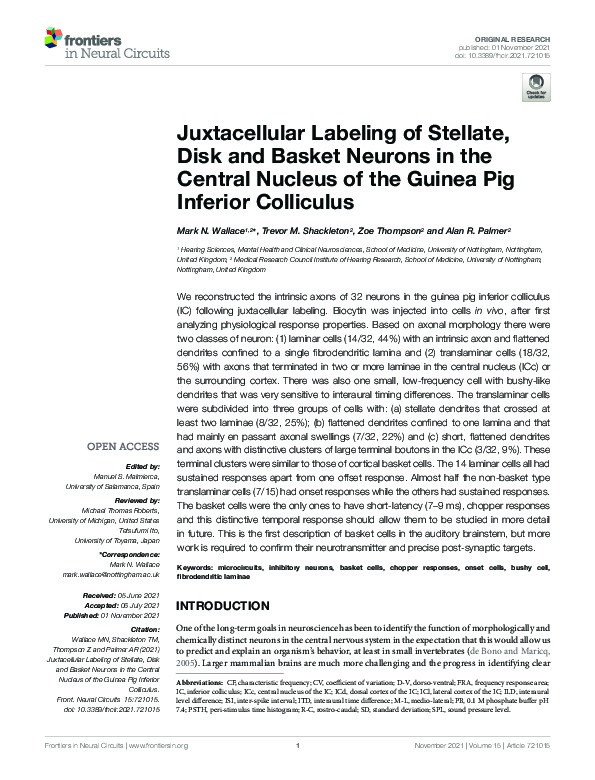 Juxtacellular Labeling of Stellate, Disk and Basket Neurons in the Central Nucleus of the Guinea Pig Inferior Colliculus Thumbnail