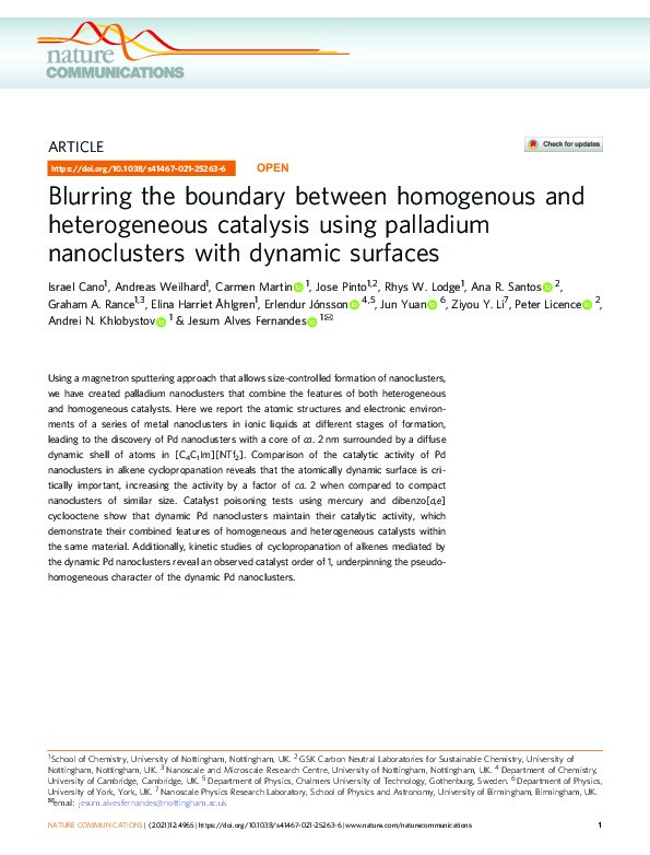 Blurring the Boundary between Homogenous and Heterogeneous Catalysis using Palladium Nanoclusters with Dynamic Surfaces Thumbnail