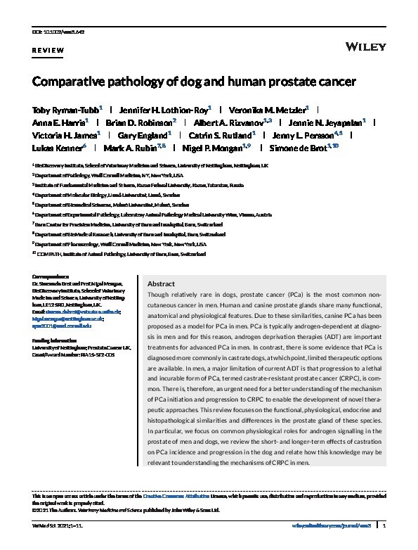 Comparative pathology of dog and human prostate cancer Thumbnail