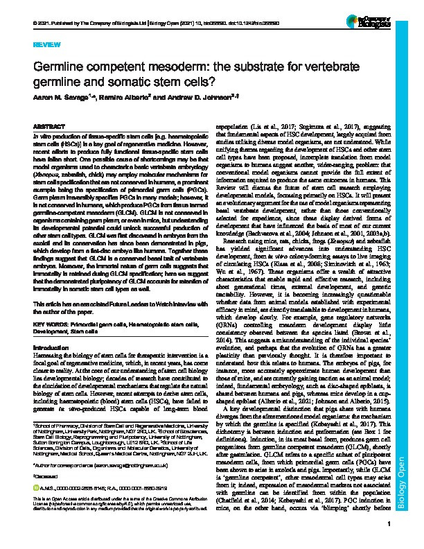 Germline competent mesoderm: the substrate for vertebrate germline and somatic stem cells? Thumbnail
