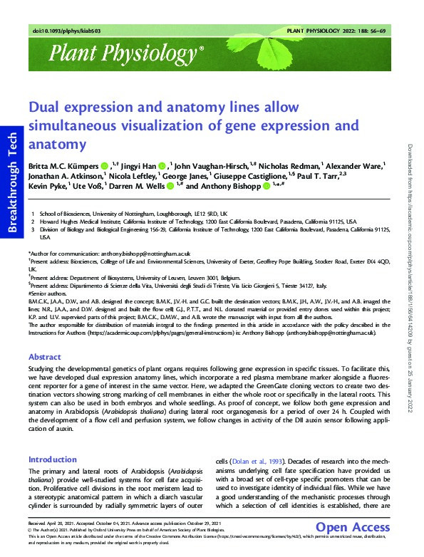 Dual expression and anatomy lines allow simultaneous visualization of gene expression and anatomy Thumbnail