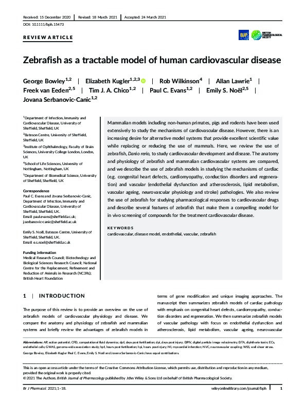 Zebrafish as a tractable model of human cardiovascular disease Thumbnail