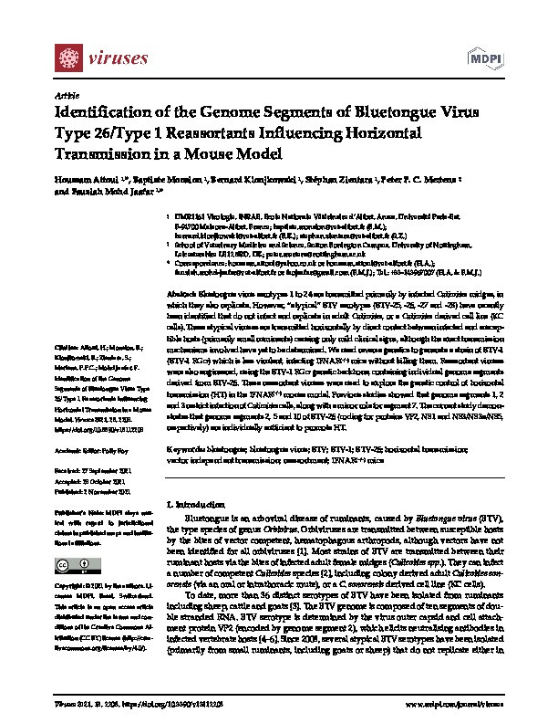 Identification of the Genome Segments of Bluetongue Virus Type 26/Type 1 Reassortants Influencing Horizontal Transmission in a Mouse Model Thumbnail