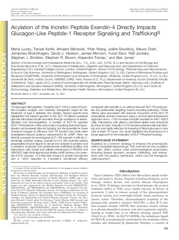 Acylation of the incretin peptide exendin-4 directly impacts glucagon-like peptide-1 receptor signaling and traffickings Thumbnail