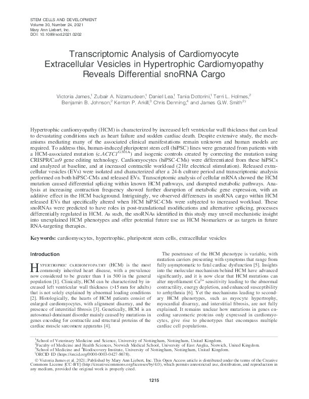 Transcriptomic Analysis of Cardiomyocyte Extracellular Vesicles in Hypertrophic Cardiomyopathy Reveals Differential snoRNA Cargo Thumbnail