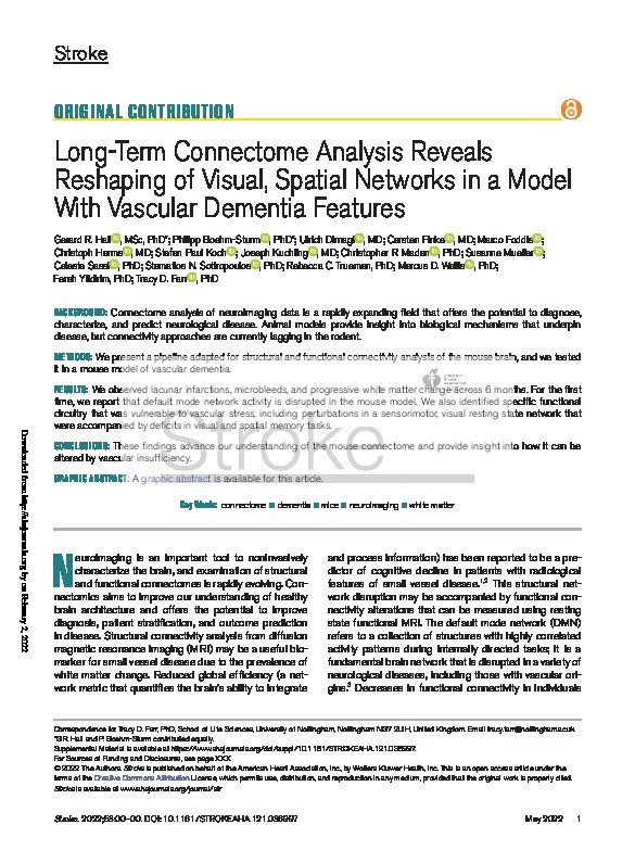 Long-Term Connectome Analysis Reveals Reshaping of Visual, Spatial Networks in a Model With Vascular Dementia Features Thumbnail