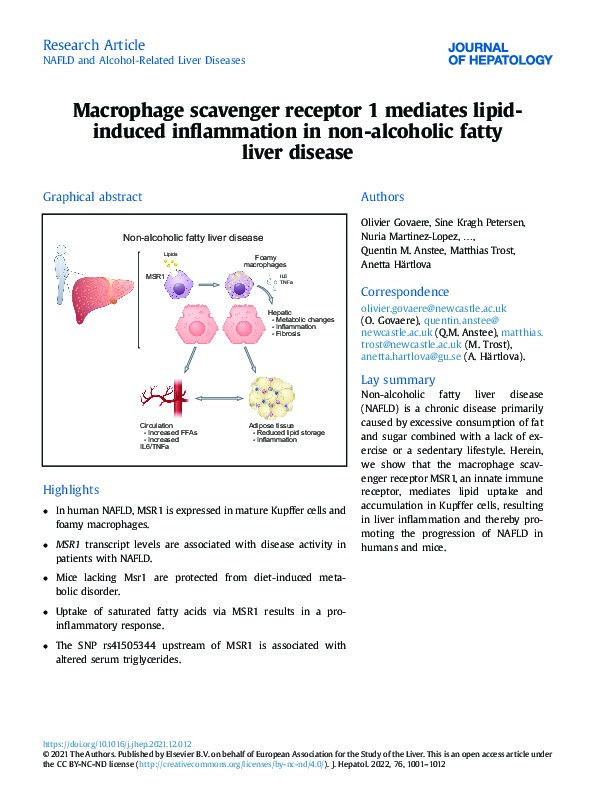 Macrophage Scavenger Receptor 1 mediates lipid-induced inflammation in non-alcoholic fatty liver disease Thumbnail