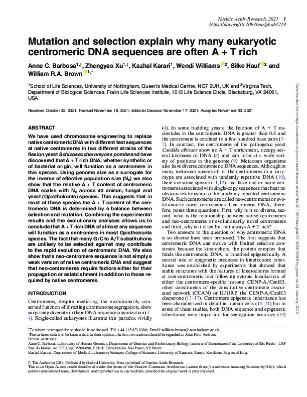 Mutation and selection explain why many eukaryotic centromeric DNA sequences are often A+T rich Thumbnail