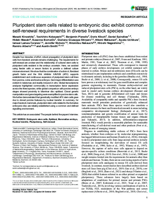 Pluripotent stem cells related to embryonic disc exhibit common self-renewal requirements in diverse livestock species Thumbnail