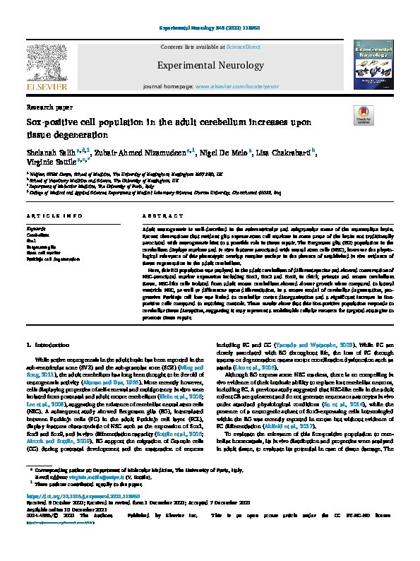 Sox-positive cell population in the adult cerebellum increases upon tissue degeneration Thumbnail