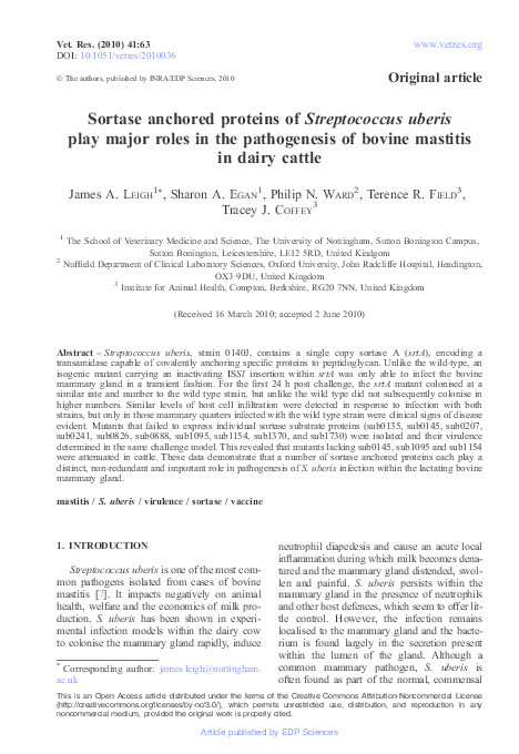 Sortase anchored proteins of Streptococcus uberis play major roles in the pathogenesis of bovine mastitis in dairy cattle Thumbnail