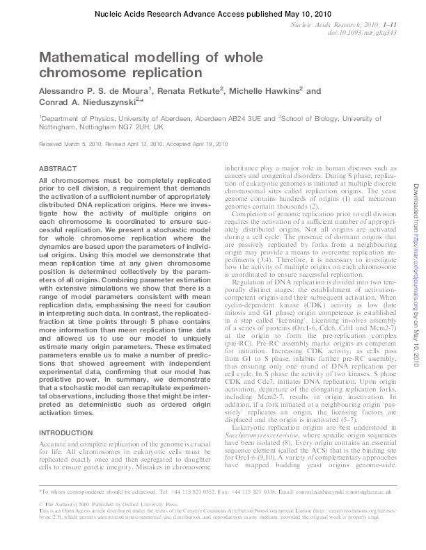 Mathematical modelling of whole chromosome replication Thumbnail