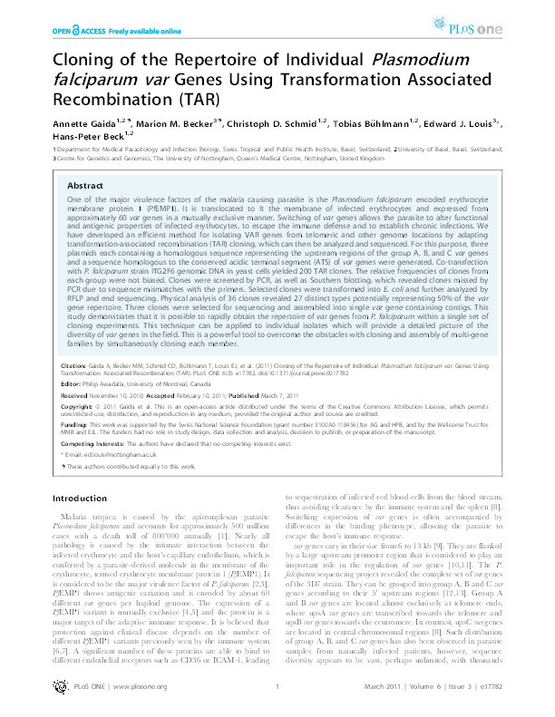 Cloning of the repertoire of individual Plasmodium falciparum var genes using Transformation Associated Recombination (TAR) Thumbnail