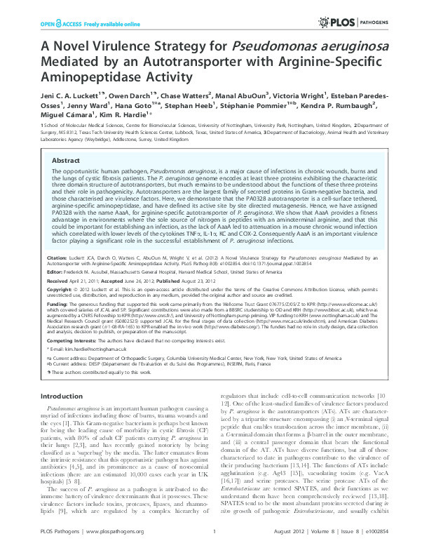 A novel virulence strategy for Pseudomonas aeruginosa mediated by an autotransporter with arginine-specific aminopeptidase activity Thumbnail