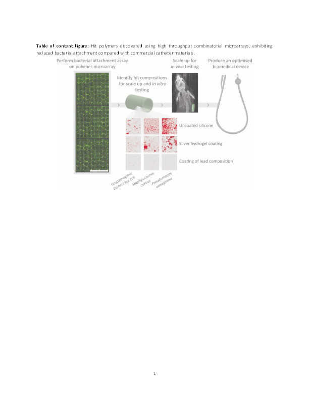 Combinatorial discovery of polymers resistant to bacterial attachment Thumbnail