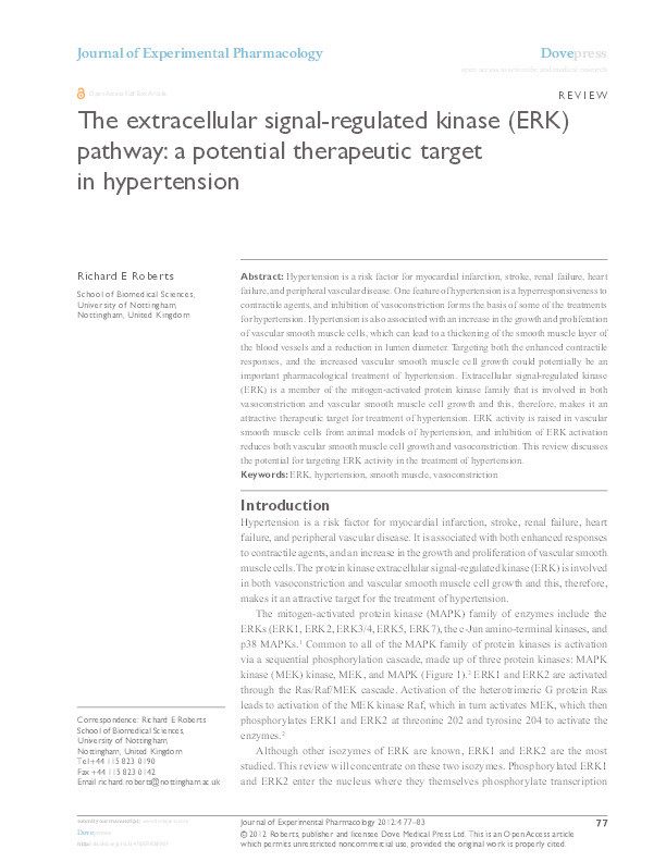 The extracellular signal-regulated kinase (ERK) pathway: a potential therapeutic target in hypertension Thumbnail
