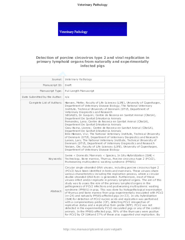 Detection of porcine circovirus type 2 and viral replication by in situ hybridization in primary lymphoid organs from naturally and experimentally infected pigs Thumbnail