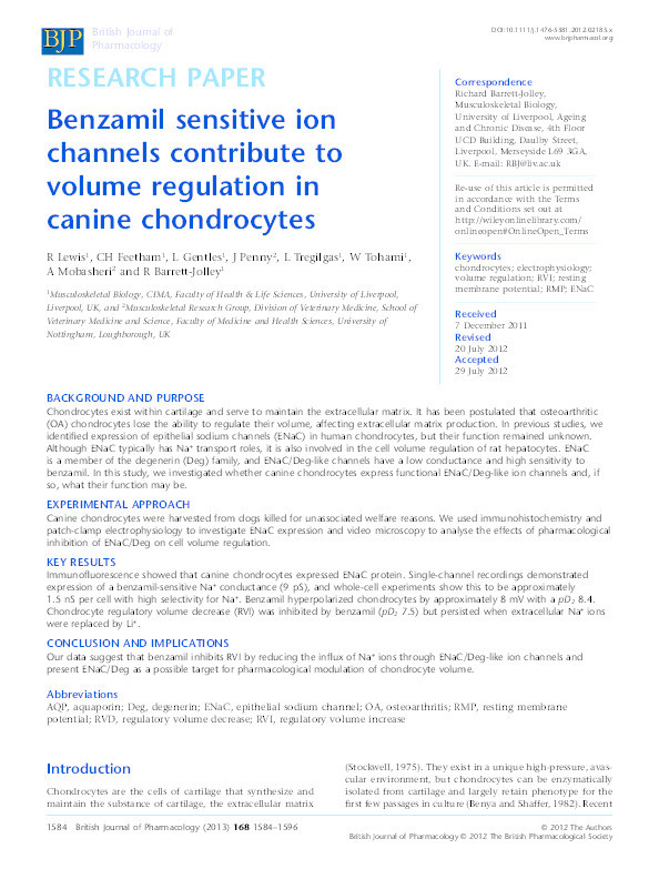 Benzamil sensitive ion channels contribute to volume regulation in canine chondrocytes Thumbnail