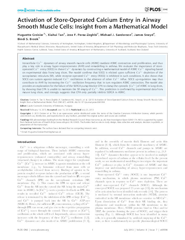 Activation of store-operated calcium entry in airway smooth muscle cells: insight from a mathematical model Thumbnail