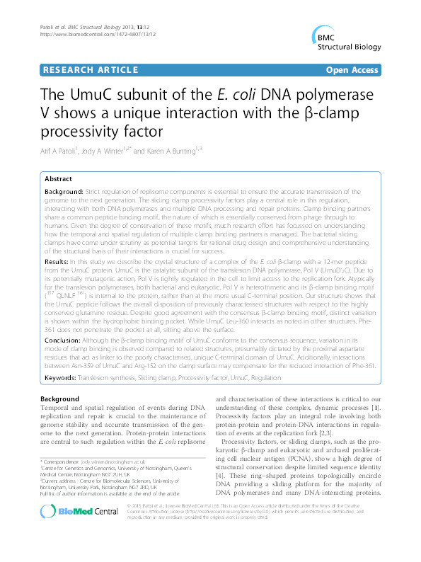 The UmuC subunit of the E. coli DNA polymerase V shows a unique interaction with the ?-clamp processivity factor Thumbnail