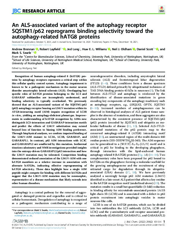 An ALS-associated variant of the autophagy receptor SQSTM1/p62 reprograms binding selectivity toward the autophagy-related hATG8 proteins Thumbnail