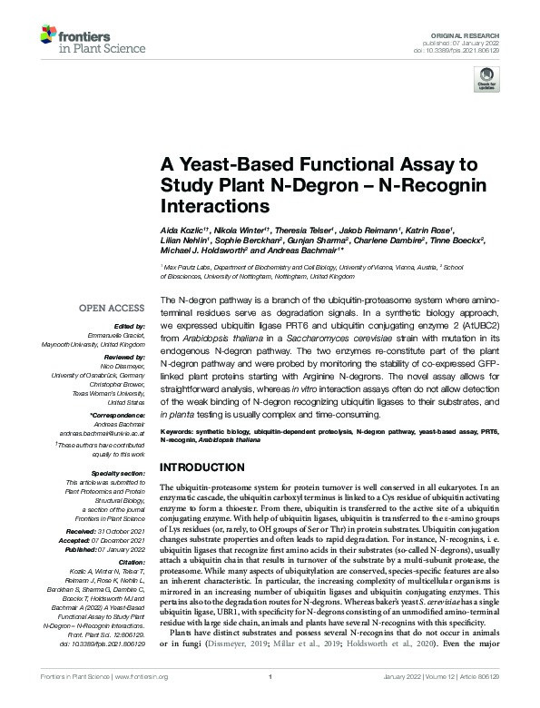 A Yeast-Based Functional Assay to Study Plant N-Degron – N-Recognin Interactions Thumbnail