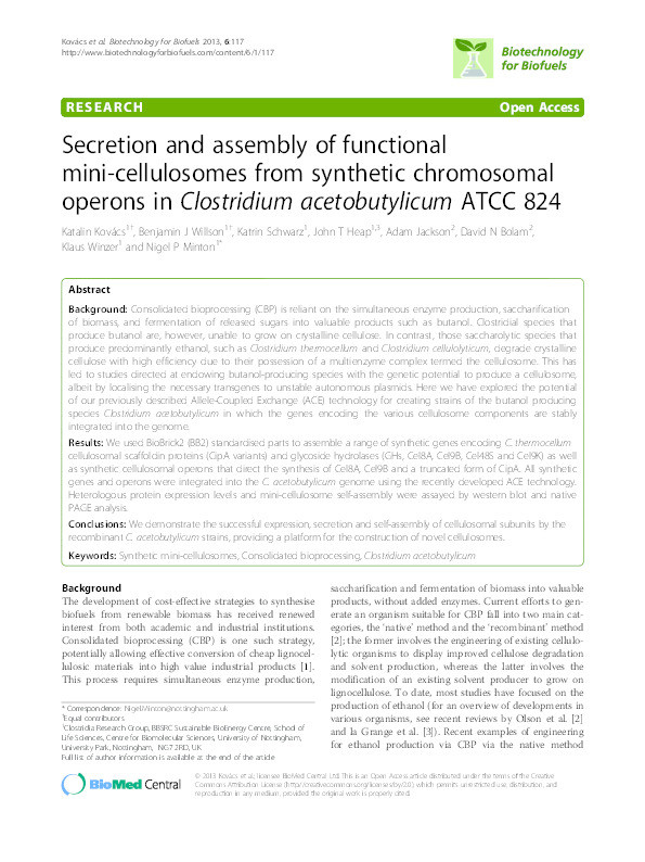 Secretion and assembly of functional mini-cellulosomes from synthetic chromosomal operons in Clostridium acetobutylicum ATCC 824 Thumbnail