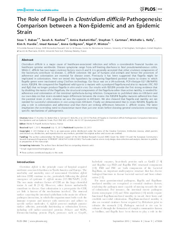 The role of flagella in Clostridium difficile pathogenesis:comparison between a non-epidemic and an epidemicstrain Thumbnail