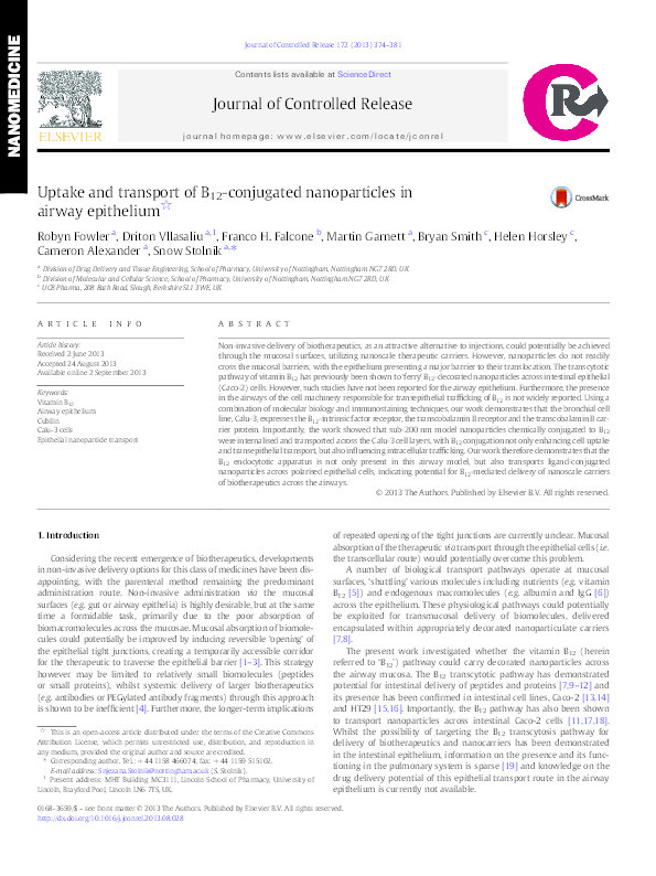 Uptake and transport of B12-conjugated nanoparticles in airway epithelium Thumbnail