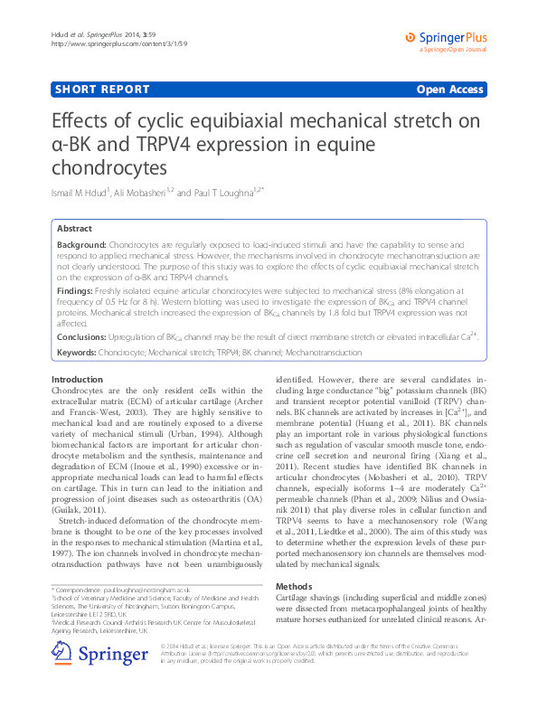 Effects of cyclic equibiaxial mechanical stretch on α-BK and TRPV4 expression in equine chondrocytes Thumbnail