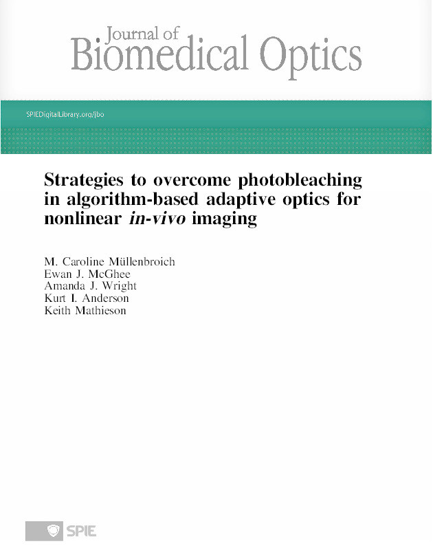 Strategies to overcome photobleaching in algorithm-based adaptive optics for nonlinearin-vivoimaging Thumbnail