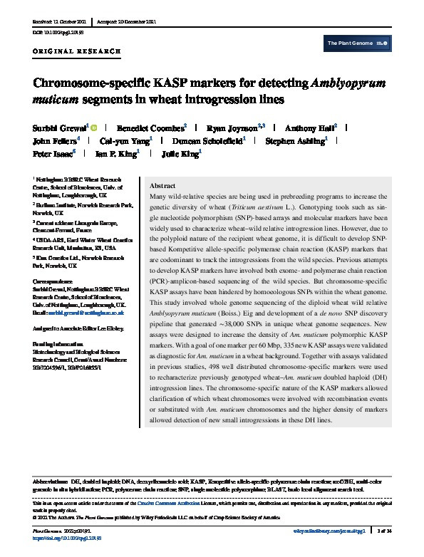 Chromosome-specific KASP markers for detecting Amblyopyrum muticum segments in wheat introgression lines Thumbnail