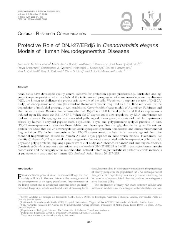 Protective Role of DNJ-27/ERdj5 in Caenorhabditis elegans Models of Human Neurodegenerative Diseases Thumbnail
