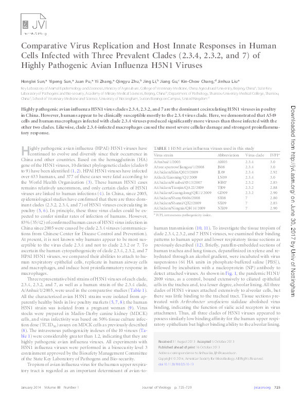 Comparative virus replication and host innate responses in human cells infected with three prevalent clades (2.3.4, 2.3.2, and 7) of highly pathogenic avian influenza H5N1 viruses Thumbnail