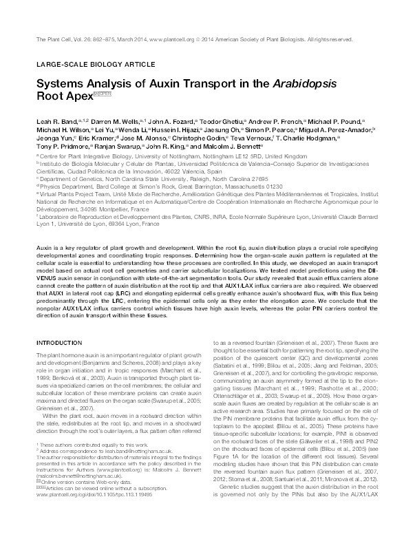 Systems Analysis of Auxin Transport in the Arabidopsis Root Apex Thumbnail
