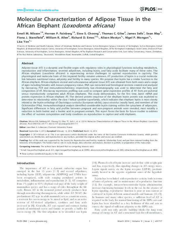 Molecular Characterization of Adipose Tissue in the African Elephant (Loxodonta africana) Thumbnail