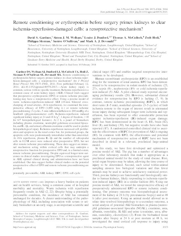 Remote conditioning or erythropoietin before surgery primes kidneys to clear ischemia-reperfusion-damaged cells: a renoprotective mechanism? Thumbnail