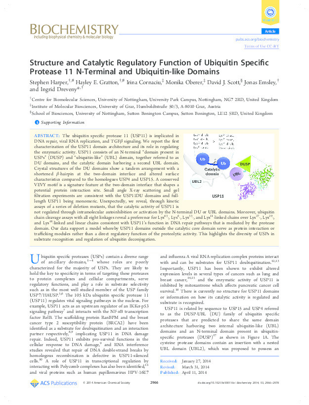 Structure and Catalytic Regulatory Function of Ubiquitin Specific Protease 11 N-Terminal and Ubiquitin-like Domains Thumbnail