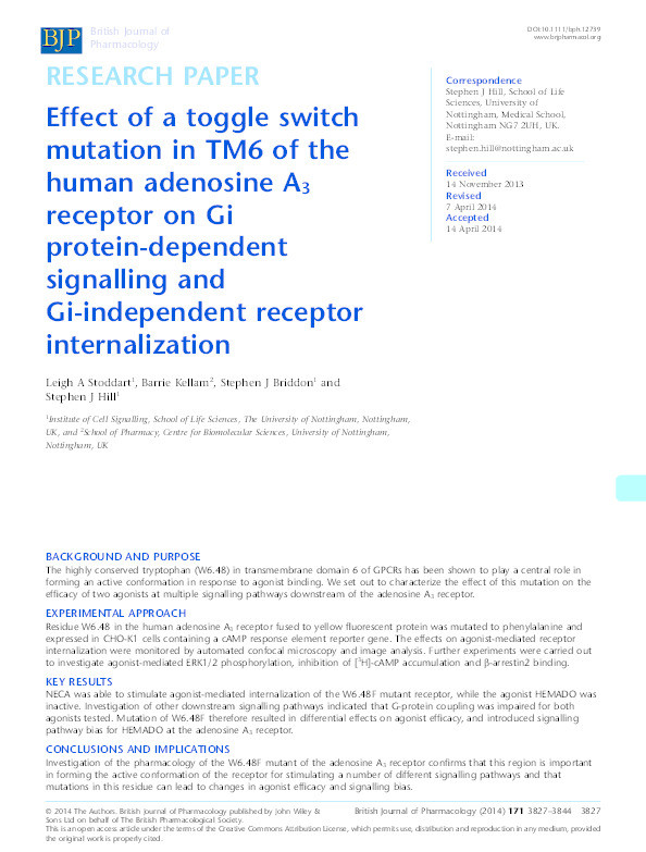 Effect of a toggle switch mutation in TM6 of the human adenosine A3 receptor on Gi protein-dependent signalling and Gi-independent receptor internalization Thumbnail