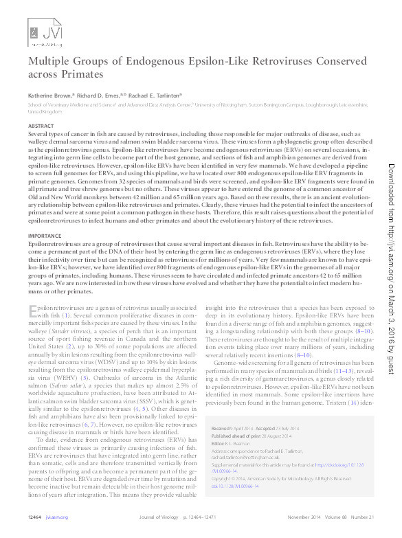 Multiple groups of endogenous epsilon-like retroviruses conserved across primates Thumbnail