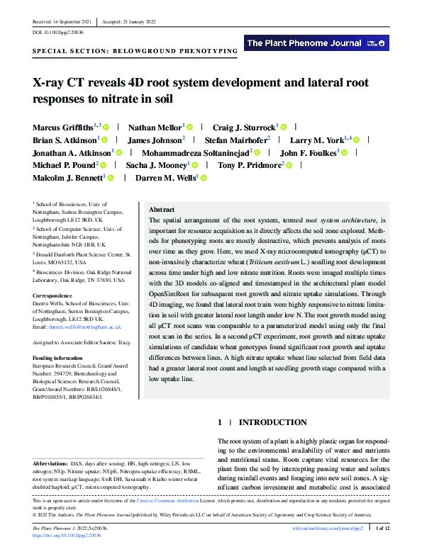 X-ray CT reveals 4D root system development and lateral root responses to nitrate in soil Thumbnail