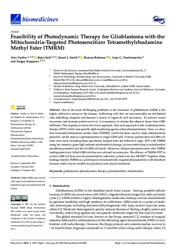 Feasibility of Photodynamic Therapy for Glioblastoma with the Mitochondria-Targeted Photosensitizer Tetramethylrhodamine Methyl Ester (TMRM) Thumbnail