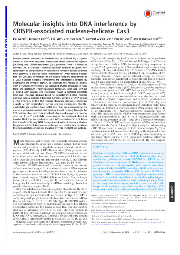Molecular insights into DNA interference by CRISPR-associated nuclease-helicase Cas3 Thumbnail