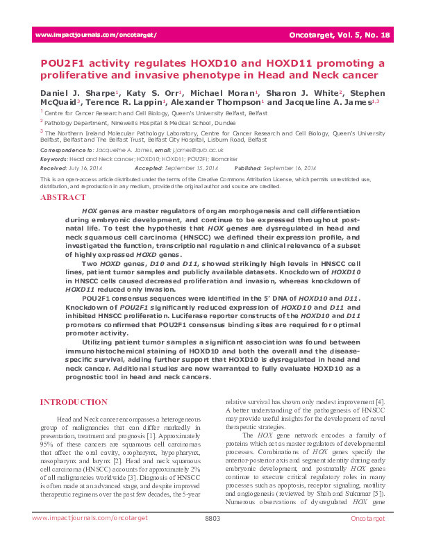 POU2F1 activity regulates HOXD10 and HOXD11 promoting a proliferative and invasive phenotype in head and neck cancer Thumbnail