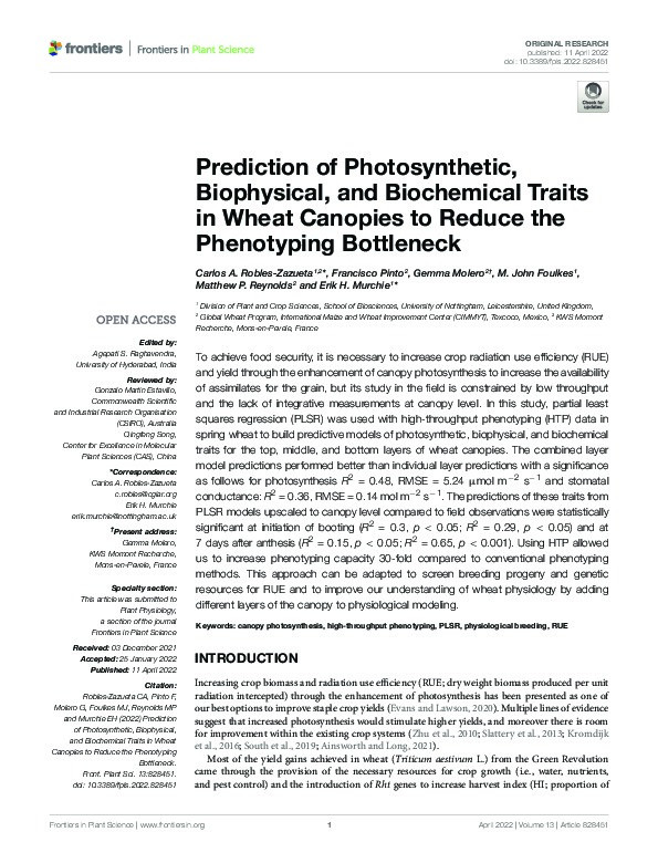 Prediction of Photosynthetic, Biophysical, and Biochemical Traits in Wheat Canopies to Reduce the Phenotyping Bottleneck Thumbnail