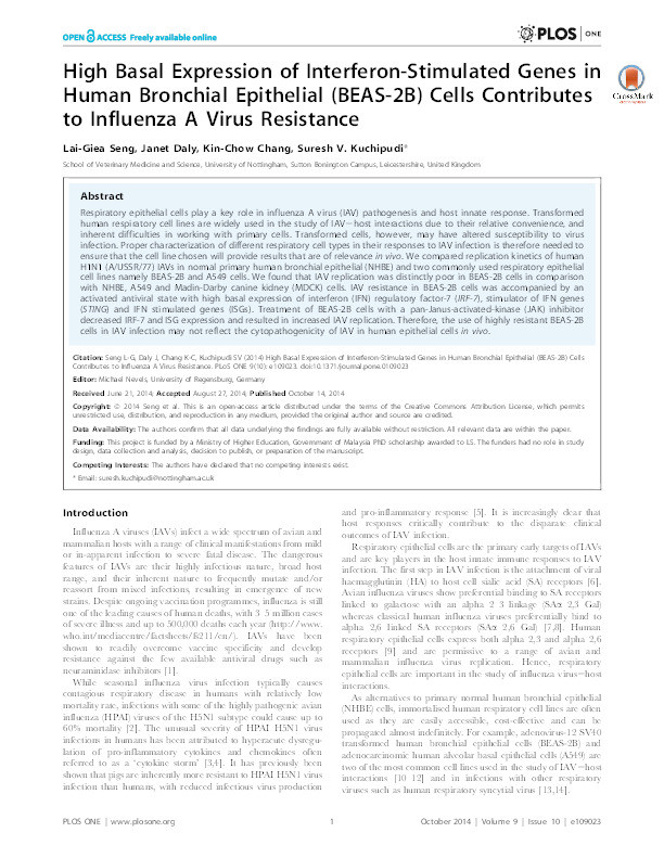 High basal expression of interferon-stimulated genes in human bronchial epithelial (BEAS-2B) cells contributes to influenza A virus resistance Thumbnail