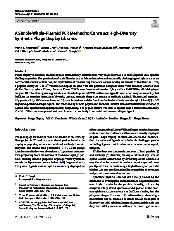 A Simple Whole-Plasmid PCR Method to Construct High-Diversity Synthetic Phage Display Libraries Thumbnail